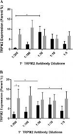 TRPM2 Antibody in Flow Cytometry (Flow)