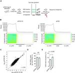 eIF3b Antibody in ChIP Assay (ChIP)