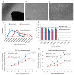 CD105 Monoclonal Antibody (SN6), APC