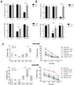 TCR V beta 8a Monoclonal Antibody (16G8), FITC