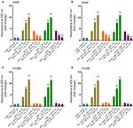 Humanin Antibody in ELISA (ELISA)