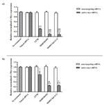 c-Myc Antibody in ELISA (ELISA)