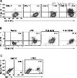 Mouse IgA Antibody in Flow Cytometry (Flow)