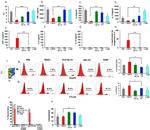 IFN gamma Antibody in ELISA (ELISA)