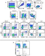 CD4 Antibody in Flow Cytometry (Flow)