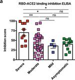 Mouse IgG Fc Secondary Antibody in ELISA (ELISA)