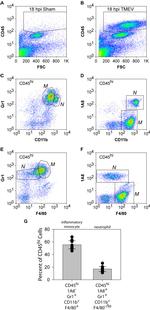F4/80 Antibody in Flow Cytometry (Flow)