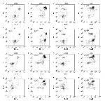 F4/80 Antibody in Flow Cytometry (Flow)