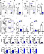 CD27 Antibody in Flow Cytometry (Flow)