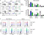 CD27 Antibody in Flow Cytometry (Flow)