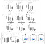 CD38 Antibody in Flow Cytometry (Flow)