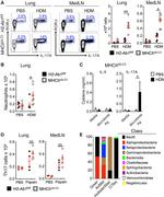 IL-17A Monoclonal Antibody (eBio17CK15A5), eBioscience™