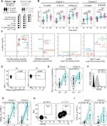 CD278 (ICOS) Antibody in Flow Cytometry (Flow)