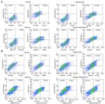 CD105 (Endoglin) Antibody in Flow Cytometry (Flow)