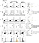 Gata-3 Antibody in Flow Cytometry (Flow)