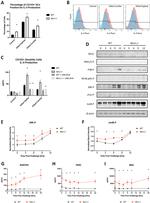 IL-4 Monoclonal Antibody (BVD6-24G2), PE-Cyanine7, eBioscience™