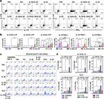 IL-17F Antibody in Flow Cytometry (Flow)
