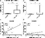 MMP9 Antibody in Immunohistochemistry (IHC)