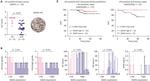 WARS Antibody in Immunohistochemistry (IHC)