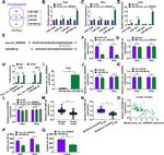 AGO2 Antibody in ChIP Assay (ChIP)