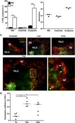 Listeria monocytogenes Monoclonal Antibody (LZF7)