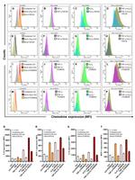 MCP-1 Antibody in Flow Cytometry (Flow)