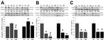 Myogenin Antibody in Western Blot (WB)