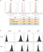 SSX2 Antibody in Flow Cytometry (Flow)