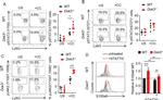 S100A8 Antibody in Flow Cytometry (Flow)