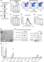 Apolipoprotein B Monoclonal Antibody (F2C9)