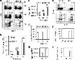Hepatitis C Virus Core Antigen Antibody in Flow Cytometry (Flow)