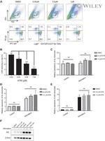 Mouse IgA Antibody in Flow Cytometry (Flow)