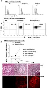 CD8a Antibody in Flow Cytometry (Flow)