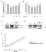 Phospho-TRPV1 (Ser502) Antibody in Western Blot (WB)