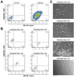 CD140a (PDGFRA) Antibody in Flow Cytometry (Flow)