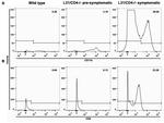 CD45 Antibody in Flow Cytometry (Flow)