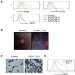 F4/80 Antibody in Flow Cytometry (Flow)
