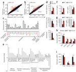 Granzyme B Antibody in Flow Cytometry (Flow)