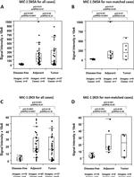 Rabbit IgG Isotype Control