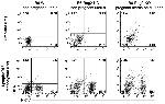 NK1.1 Antibody in Flow Cytometry (Flow)