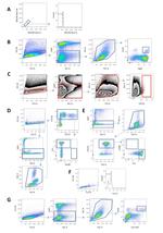 F4/80 Antibody in Flow Cytometry (Flow)