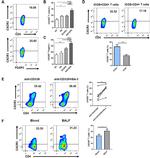 CD278 (ICOS) Antibody in Functional Assay (Functional)