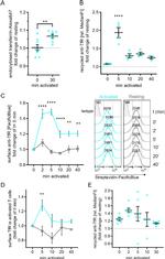 CD71 (Transferrin Receptor) Antibody in Flow Cytometry (Flow)