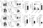 CD11c Antibody in Flow Cytometry (Flow)