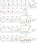 CD103 (Integrin alpha E) Antibody in Flow Cytometry (Flow)