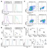 CD86 (B7-2) Antibody in Flow Cytometry (Flow)