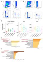 CD4 Antibody in Flow Cytometry (Flow)