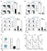 CD8a Antibody in Flow Cytometry (Flow)