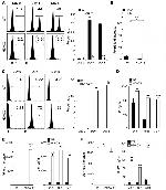 FOXP3 Antibody in Flow Cytometry (Flow)