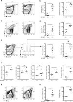 FOXP3 Antibody in Flow Cytometry (Flow)